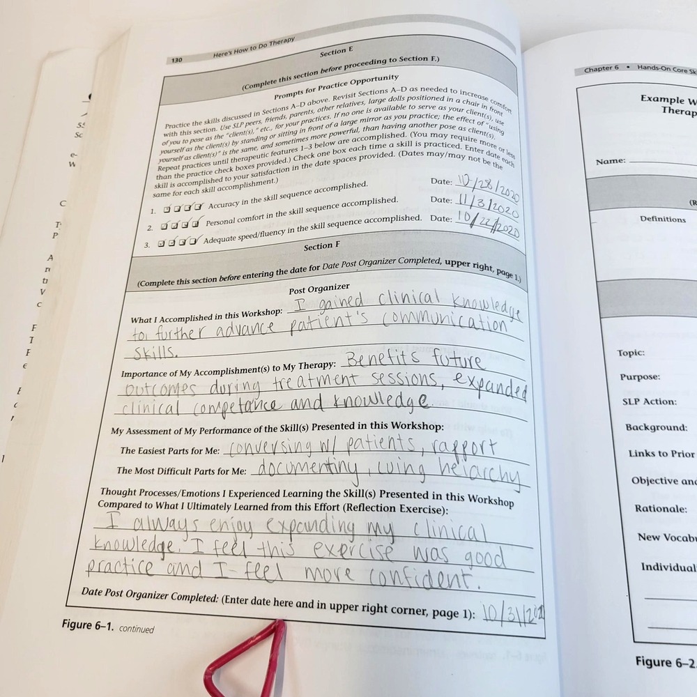Here's How To Do Therapy 2nd Edition Dwight SLP Textbook DVD Plural Publishing - Picture 9 of 16